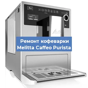Замена ТЭНа на кофемашине Melitta Caffeo Purista в Перми
